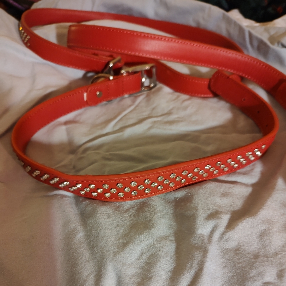 Dog collar and matching lease